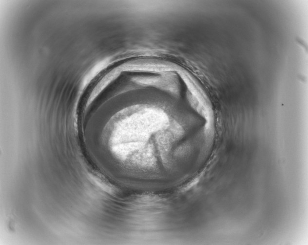 X0000093240246200710241301