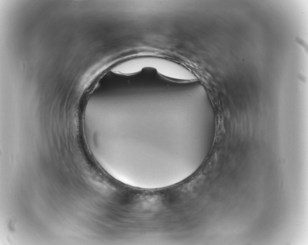 X0000093240247200710241301