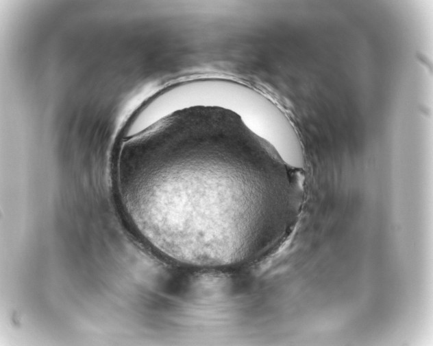 X0000093240248200710241301