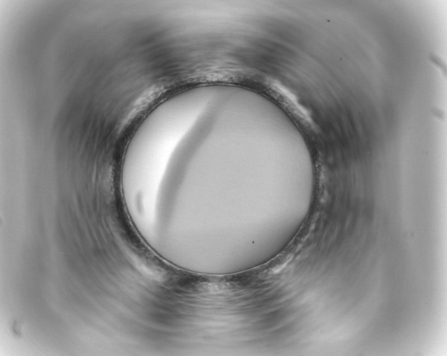 X0000093240250200710241301