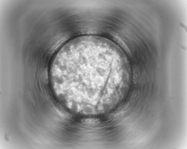 X0000093240251200710241301