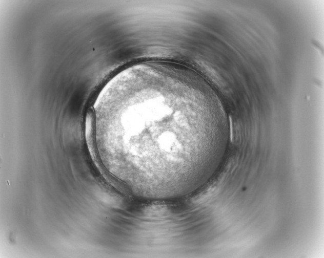 X0000093240252200710241301