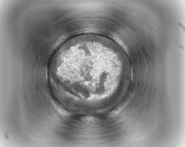 X0000093240253200710241301