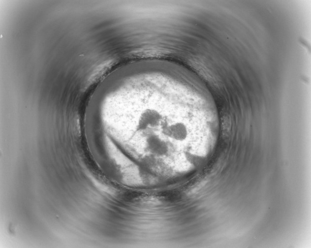 X0000093240254200710241301