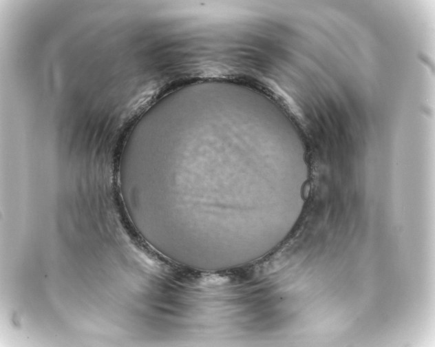 X0000093240257200710241301