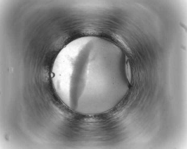 X0000093240259200710241301