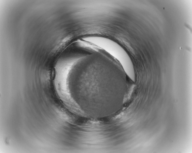 X0000093240260200710241301