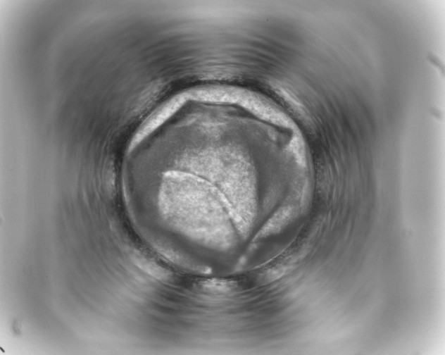 X0000093240261200710241301