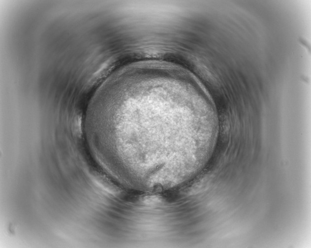 X0000093240262200710241301