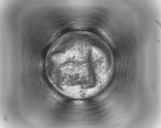 X0000093240265200710241301