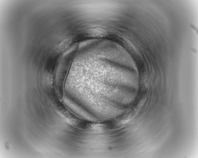 X0000093240268200710241301