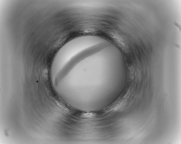 X0000093240269200710241301