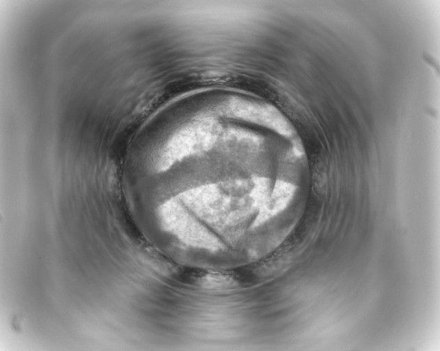 X0000093240270200710241301