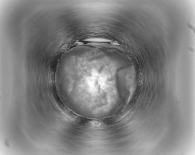 X0000093240272200710241301