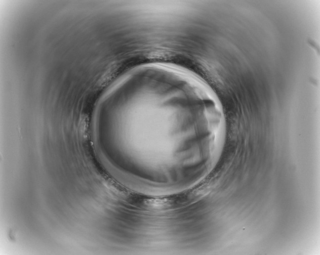 X0000093240273200710241301