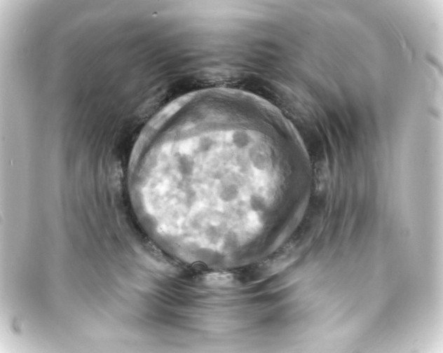 X0000093240279200710241301