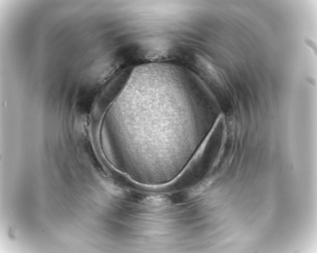 X0000093240280200710241301