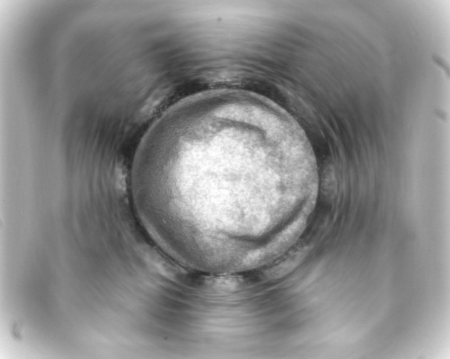 X0000093240282200710241301