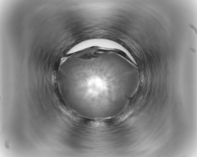 X0000093240284200710241301