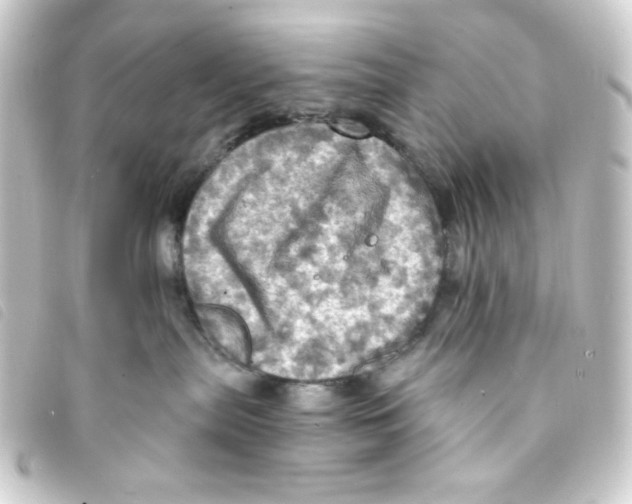 X0000093240287200710241301