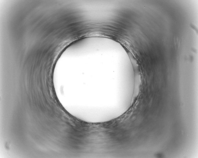 X0000093240289200710241301