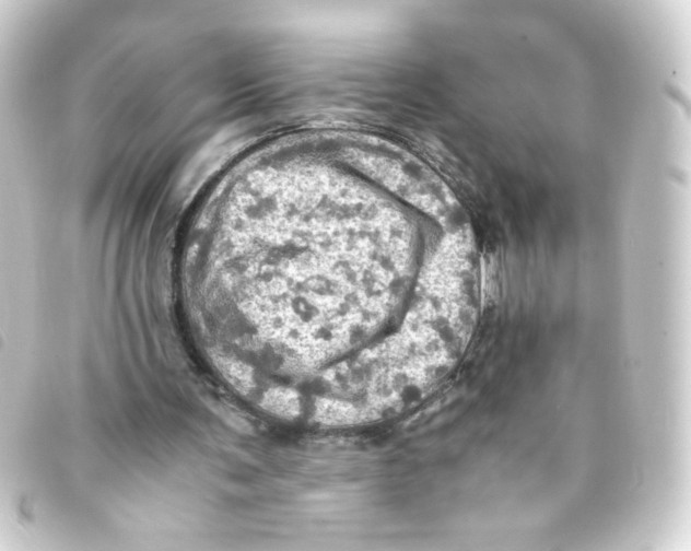 X0000093240291200710241301