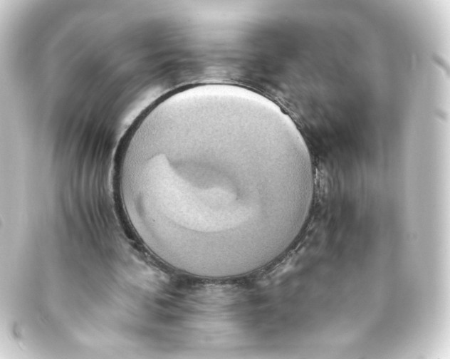 X0000093240292200710241301