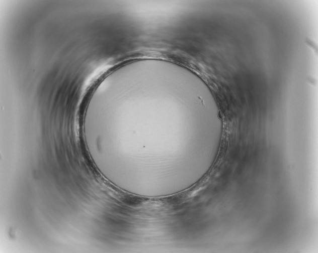 X0000093240294200710241301