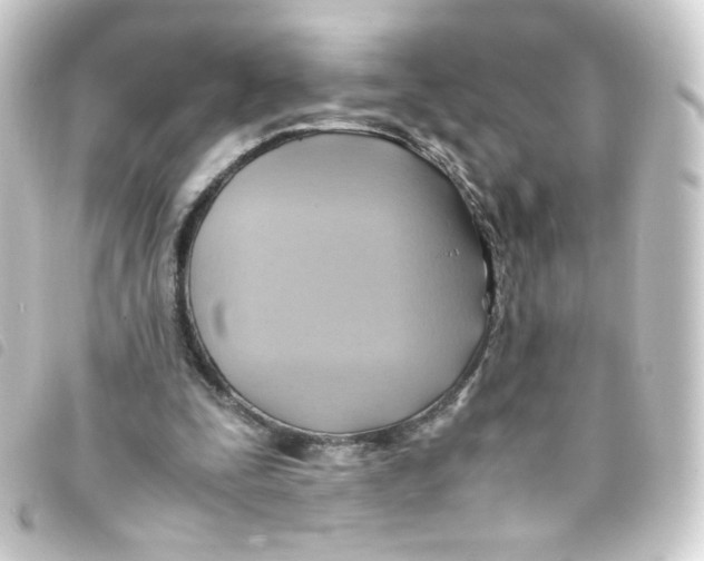 X0000093240295200710241301