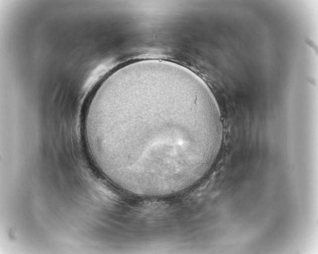 X0000093240296200710241301