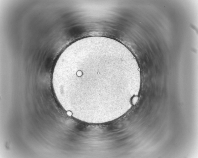 X0000093240297200710241301