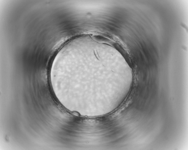 X0000093240298200710241301