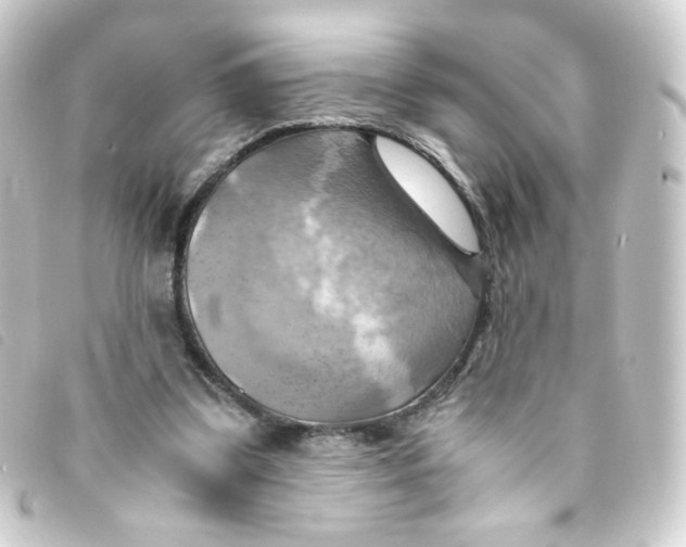 X0000093240299200710241300