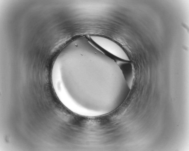 X0000093240303200710241300