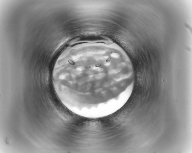 X0000093240304200710241300