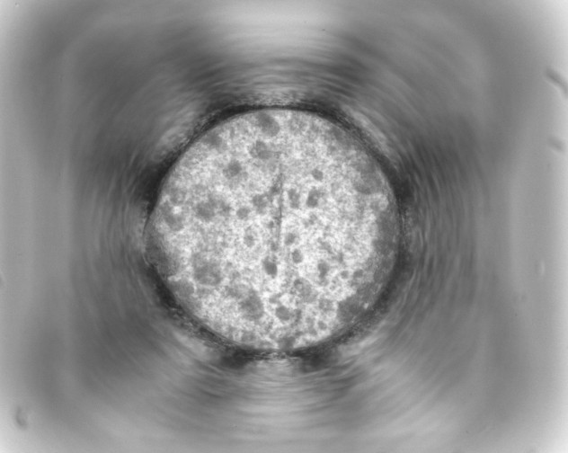 X0000093240307200710241300