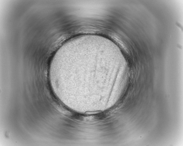 X0000093240309200710241300