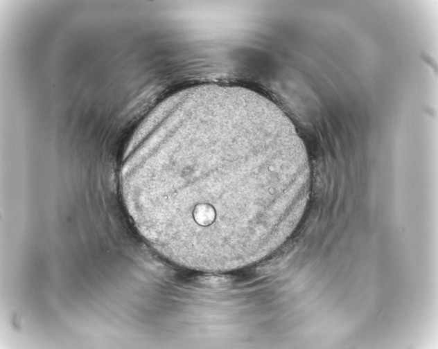 X0000093240313200710241300