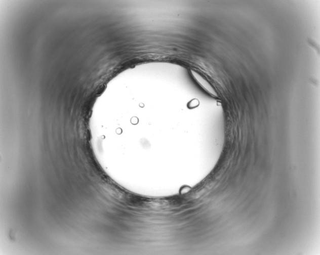 X0000093240317200710241300