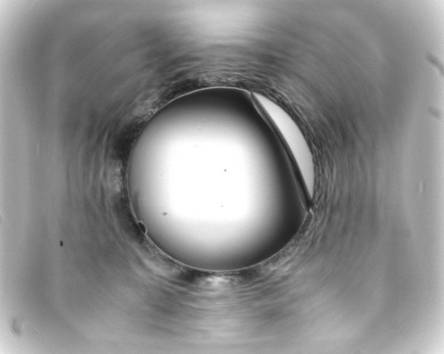 X0000093240323200710241300