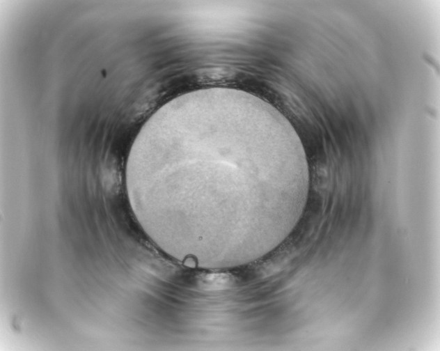 X0000093240324200710241300