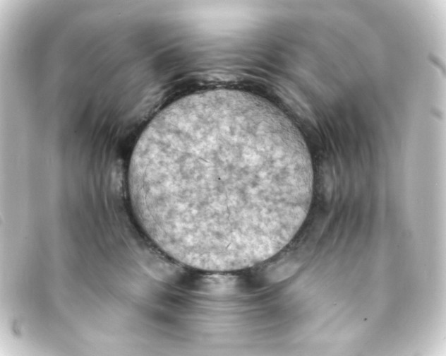 X0000093240328200710241300