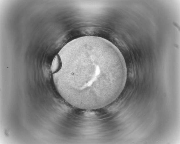 X0000093240332200710241300