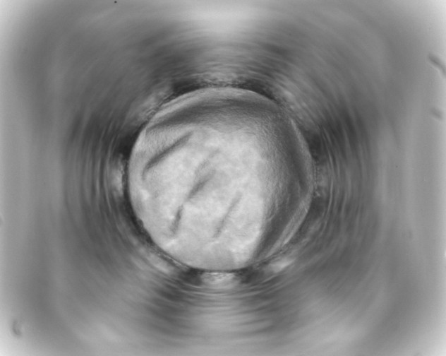 X0000093240334200710241300