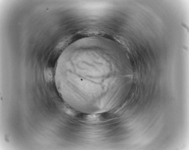 X0000093240335200710241300