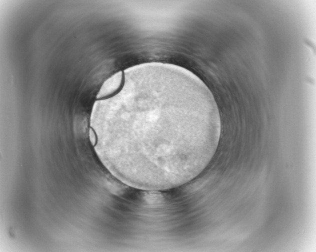 X0000093240336200710241300