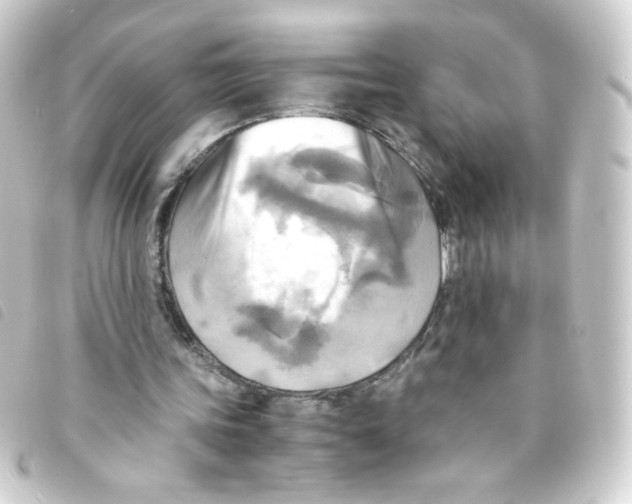 X0000093240339200710241259