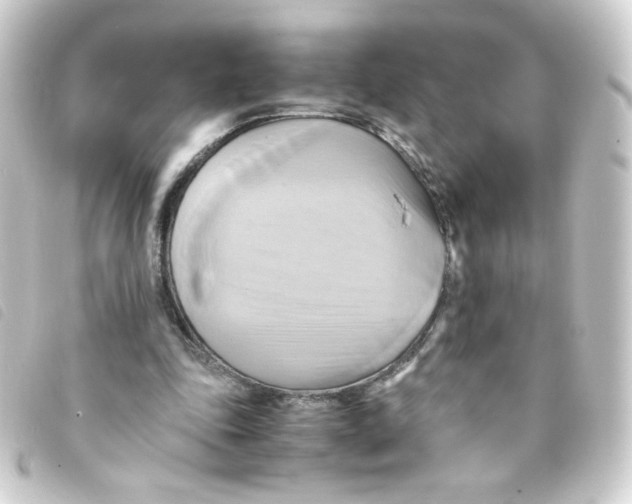 X0000093240343200710241300