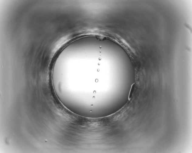 X0000093240344200710241300