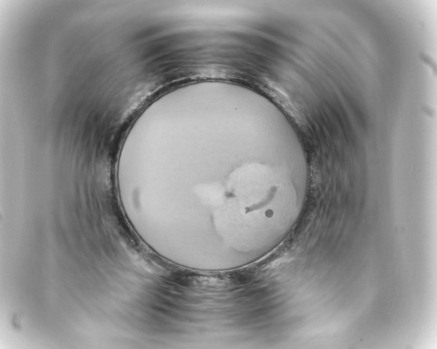 X0000093240347200710241300